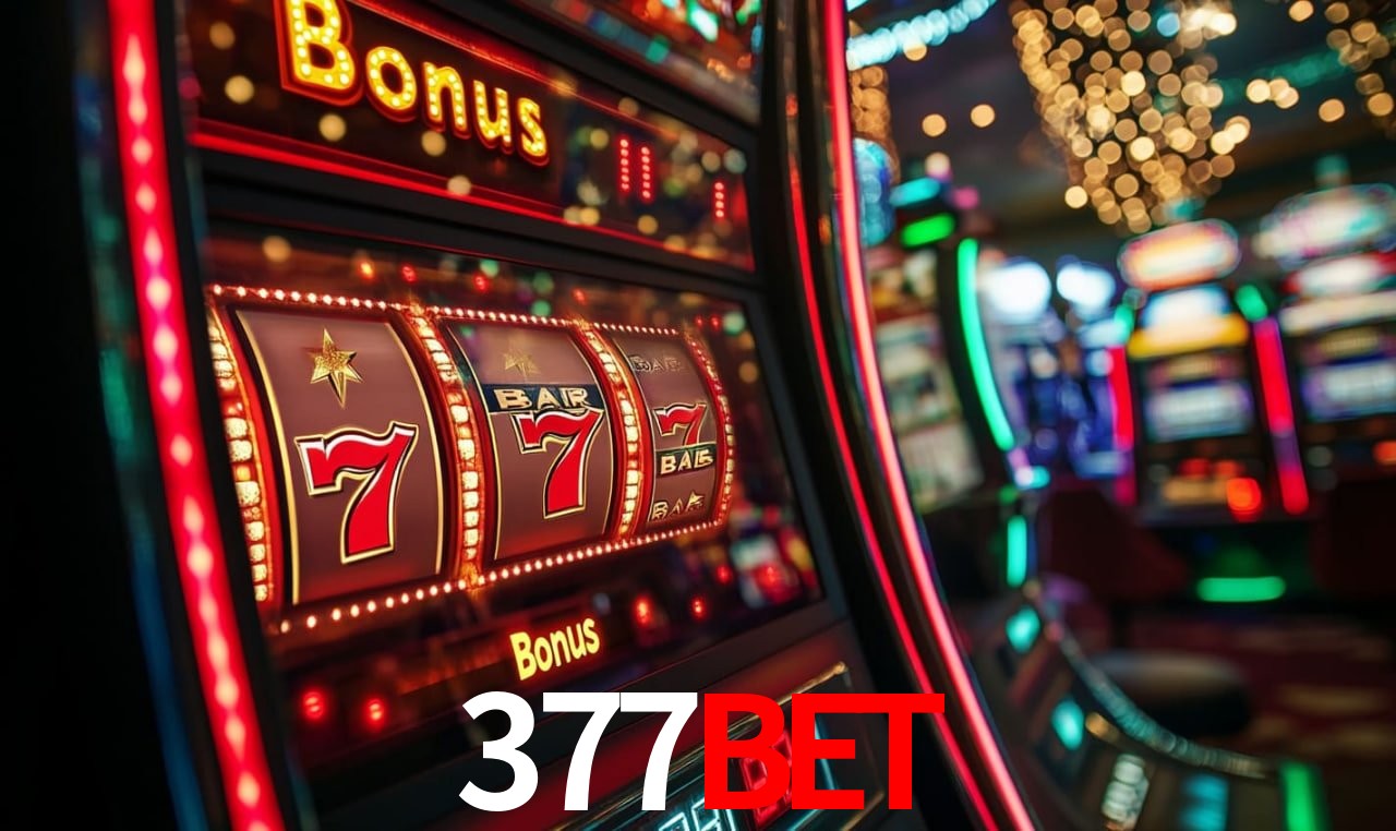 377 bet