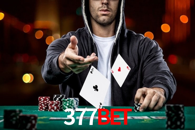 377bet,377 bet